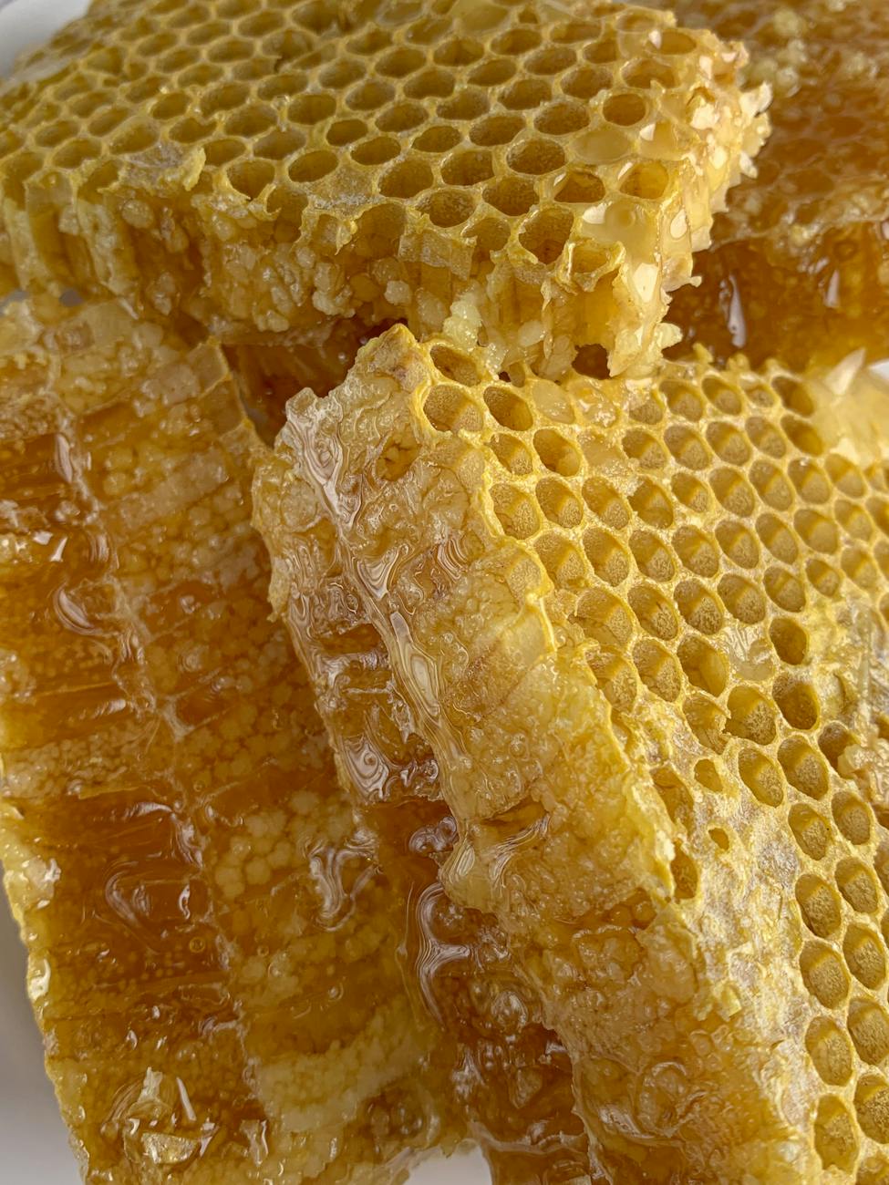 delicious honeycomb filled with honey